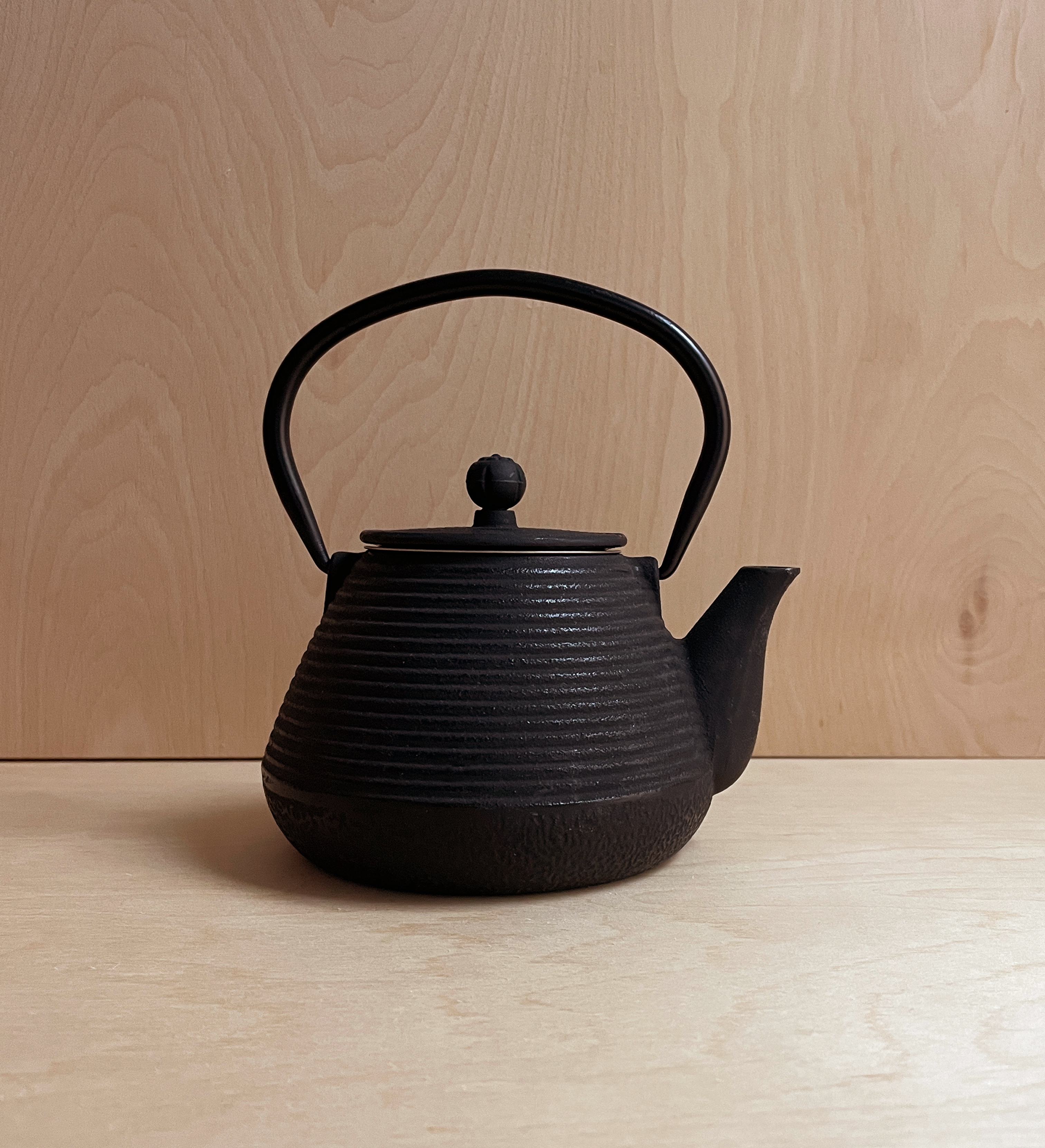 Cast Iron Tea Pot