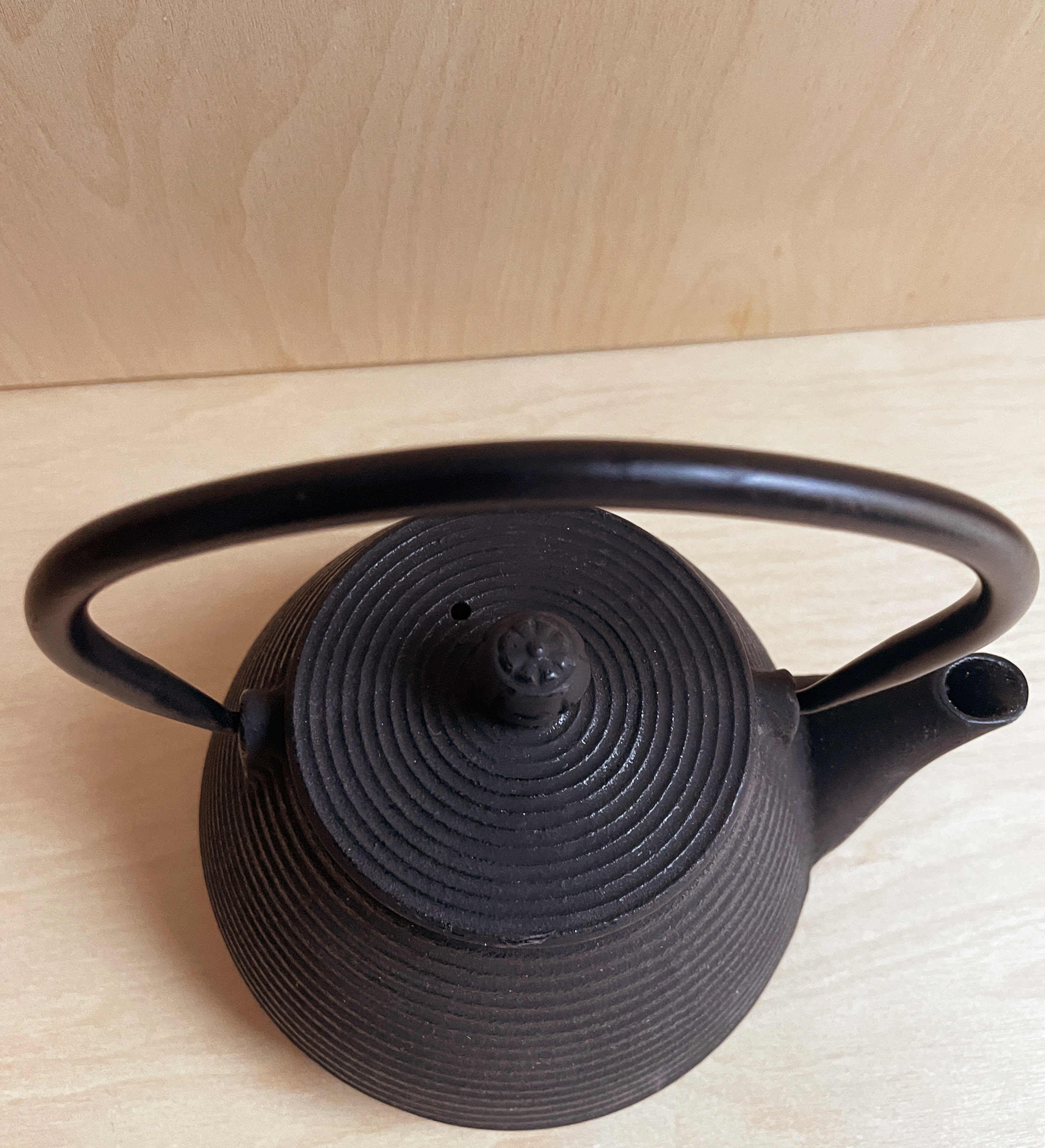 Cast Iron Tea Pot