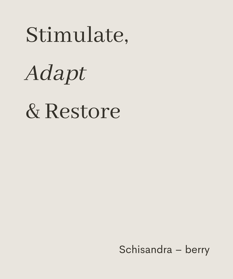 Schisandra Berry